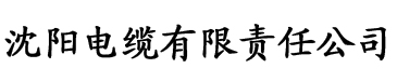 琪琪。玛雅影院电缆厂logo